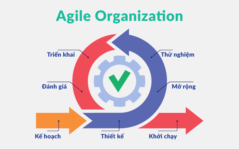  Quá trình để chuyển đổi thành công Agile Organization 